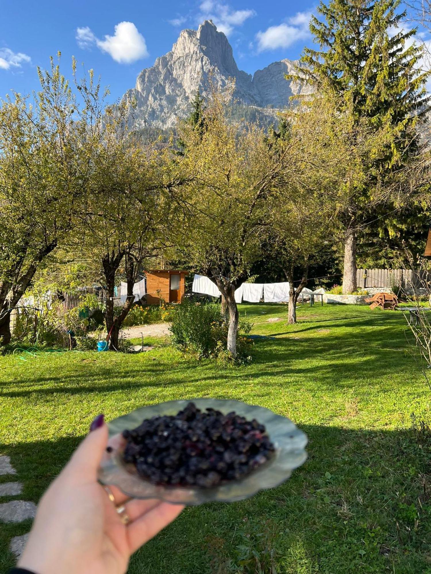 Bujtina Arlindi Bed & Breakfast Валбона Екстериор снимка